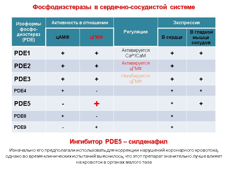 Фосфодиэстеразы в сердечно-сосудистой системе  Ингибитор PDE5 – силденафил  Изначально его предполагали использовать